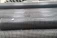  Shaanxi plastic geogrid manufacturer Wholesale polypropylene double pull plastic grid manufacturer