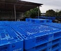东莞企石镇胶卡板,胶卡板供应商