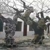 晋州动物园假山假树大门口-门头造景首选-天成