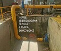 循环泵厂家循环泵批发价