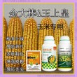 一袋一桶水金玉得乐玉米抗倒控旺剂金大棒玉黄金金得乐玉上皇厂家图片