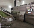 多层微波光波茶叶杀青机的原理