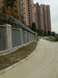 图片0