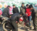 镇江市京口区润州区丹徒区丹阳市扬中市句容市电动车维修培训学校