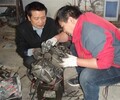 淮安哪个学校有电动车维修培训