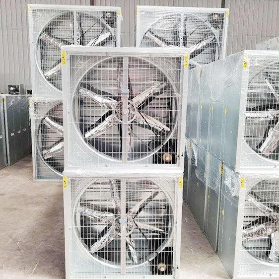 安徽滁州市换气扇排气扇厨房强力油烟换气扇6/8寸窗式排风扇