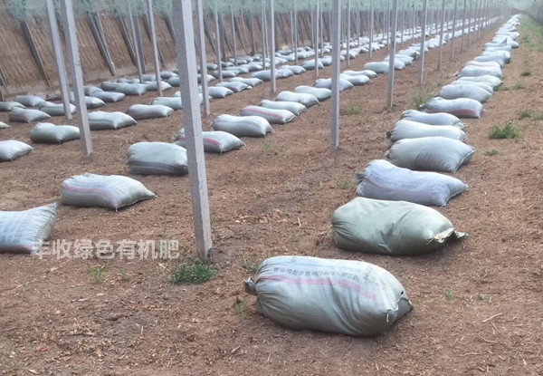 永清羊粪肥汾阳发酵鸡粪开封发酵鸡粪（今天/资讯）