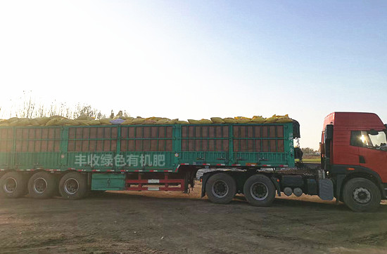 莘县有机肥邹城稻壳粪新河鸡粪（今天/图片）