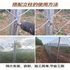 2米球场隔离菱形网山体镀锌铁丝网矿用篮球场围网