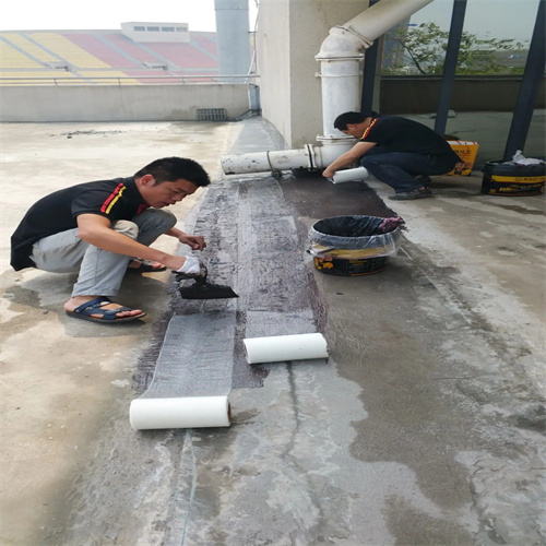 隆安县房屋楼顶漏水的修理_公司电话