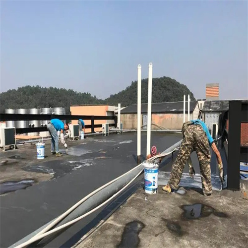 南宁市彩钢瓦房顶做防水_-广西永固防水工程有限公司