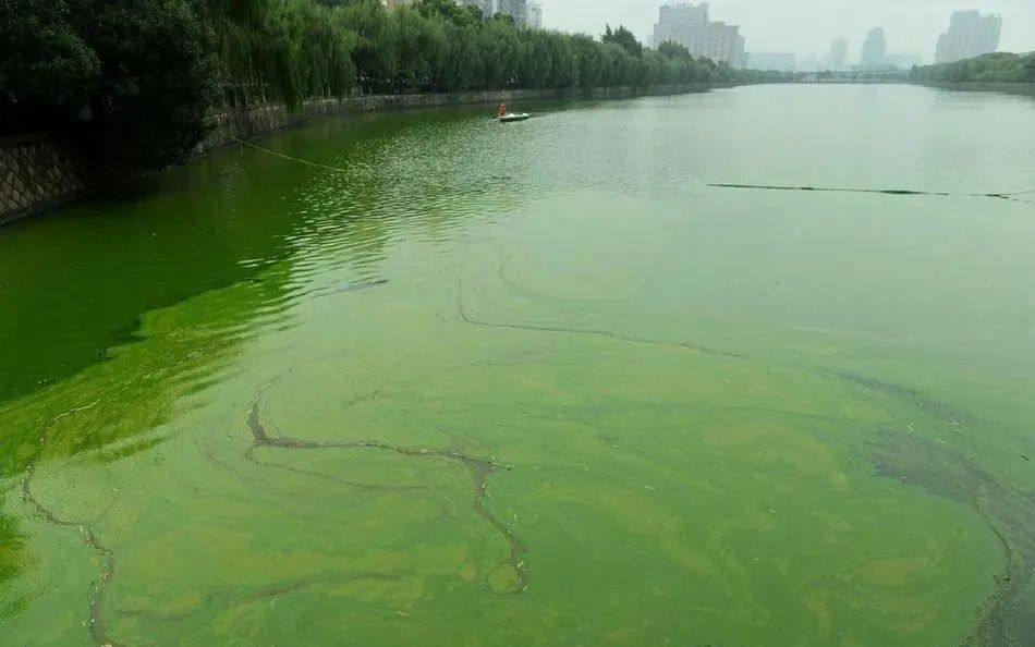 宁波河湖底泥原位生态修复技术材料团粒结构改良剂