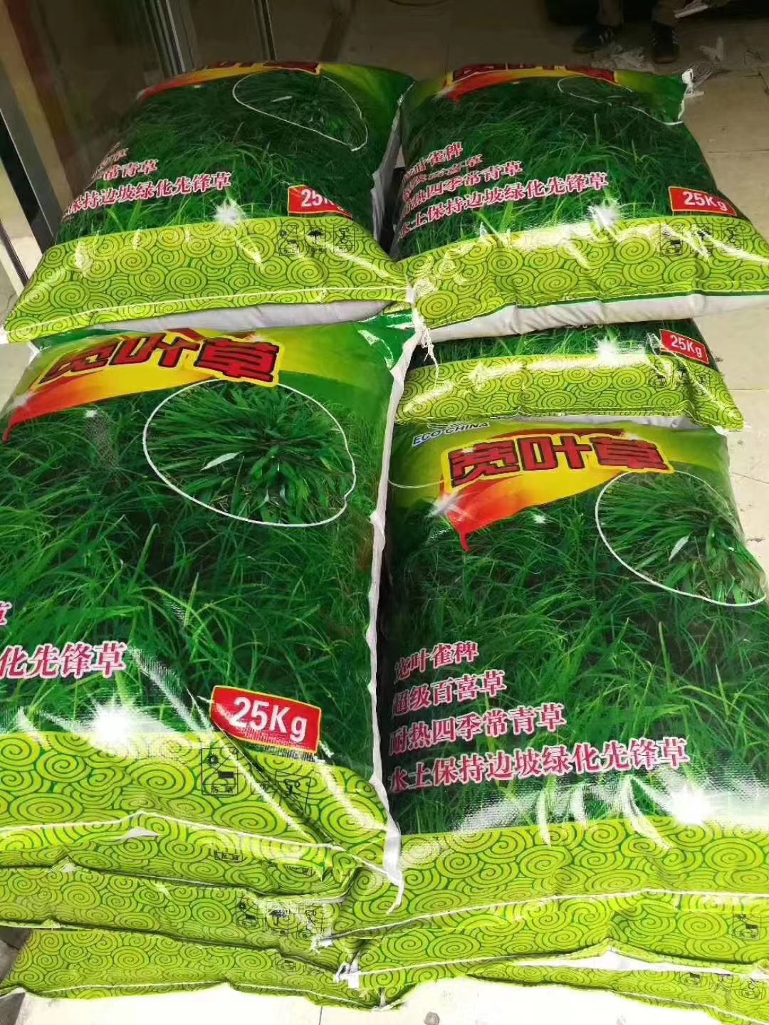 河南郑州上街区波斯菊种子 黄菊花 园林景观 销售草坪 金鸡菊花籽