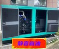 揭阳揭东区发电机租赁300KW——出租发电机-立涛机电
