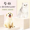 莆田宠物托运公司上门接宠