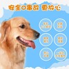 晋城寄宠物宠物托运上门接宠