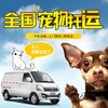 保定宠物托运在线空调专车托运