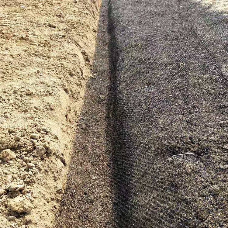 石河子北泉镇植草毯 生态水土保护毯厂家