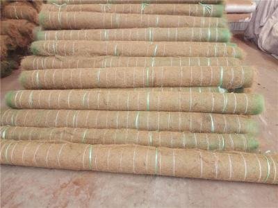 洛阳椰丝抗冲刷毯每平方价格多少