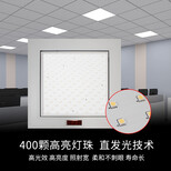 图片0