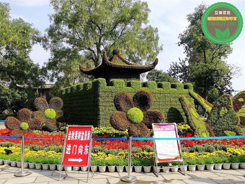 肃州创意绿雕制作流程
