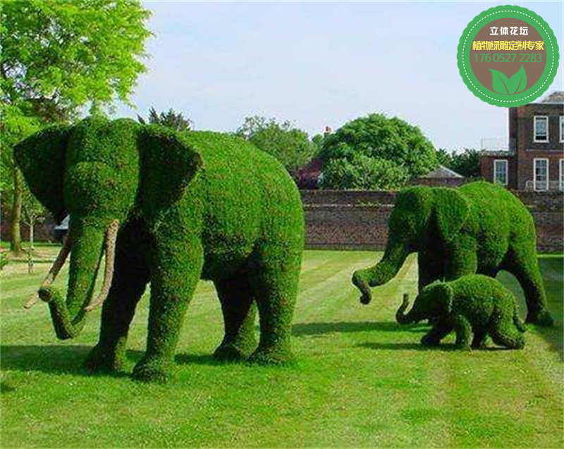 吉水植物绿雕方案设计