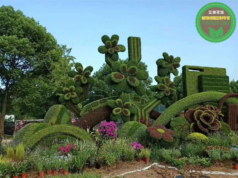 遂平真植物绿雕方案设计