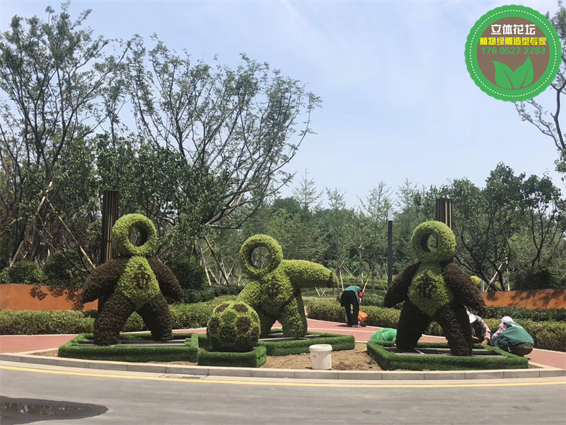 龙岩连城国庆节五色草造型制作流程