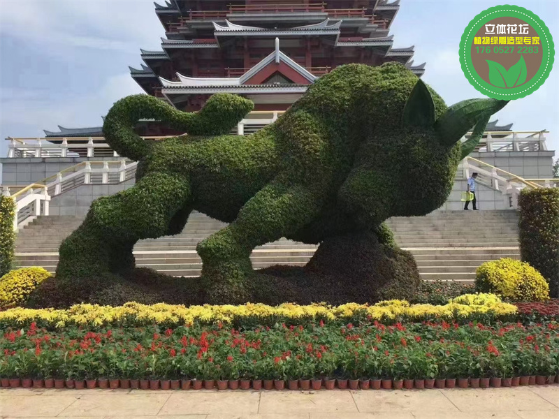 内蒙古巴彦淖尔国庆节五色草造型案例图片