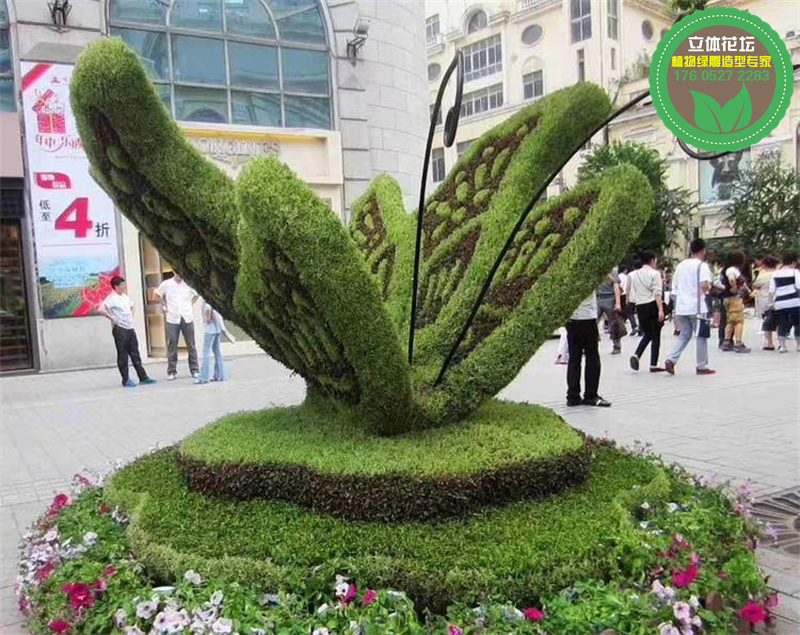 安化景区绿雕厂家设计，米兰草造型