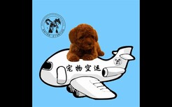 图片0