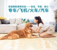 晋城宠物托运狗狗本地服务专车托运宠物