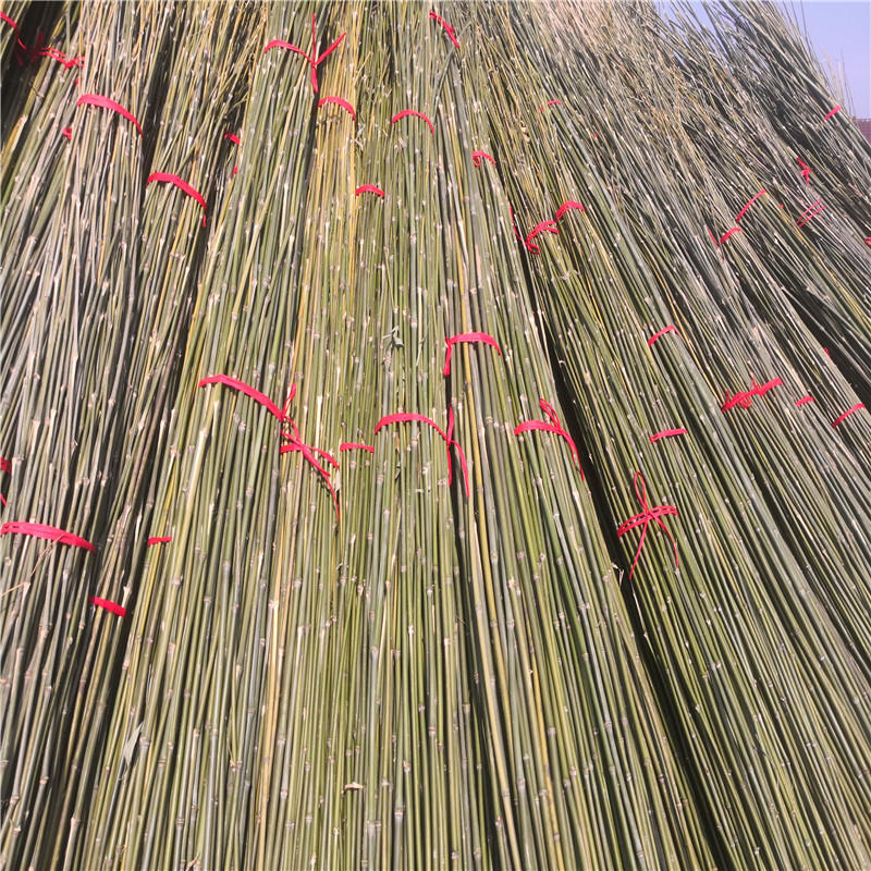 芜湖芜湖花园围栏户外装饰篱笆竹篱笆竹子护栏