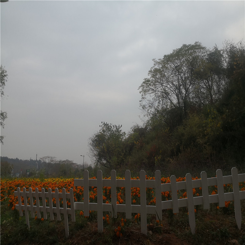 绵阳防腐竹片花园围栏护栏竹篱笆竹子护栏