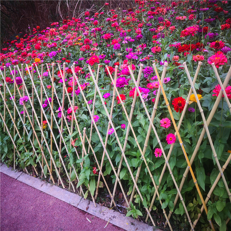 芜湖菜园栅栏碳化栅栏竹篱笆竹子护栏