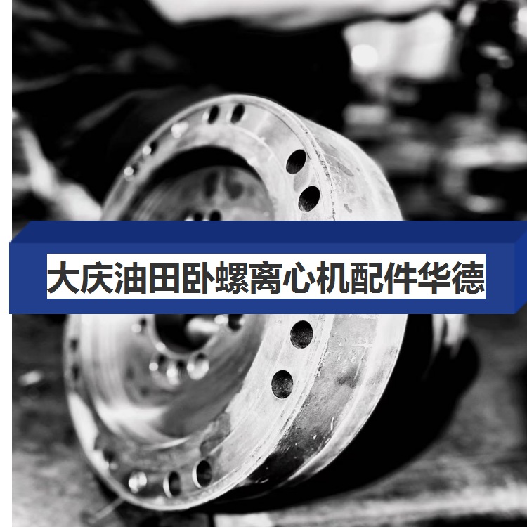 重庆彭水贝亚雷斯FP600含氟废水离心机整机大修复案例