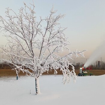 冰雪景观滑雪场造雪机全自动喷雪机广场吹雪机