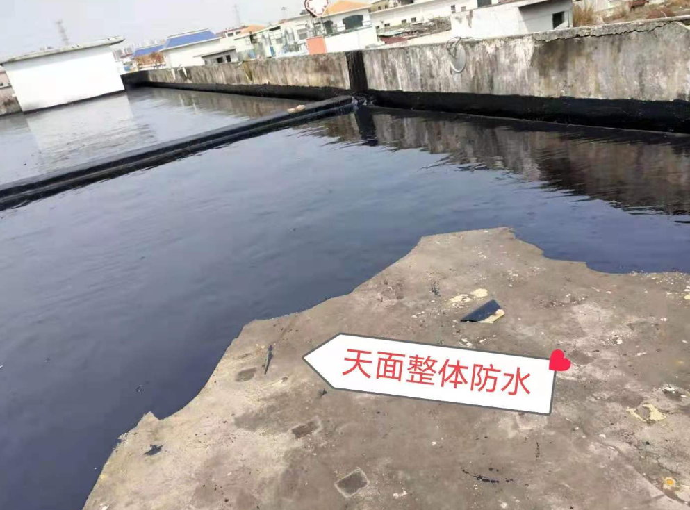 双流维修安全施工快速上门