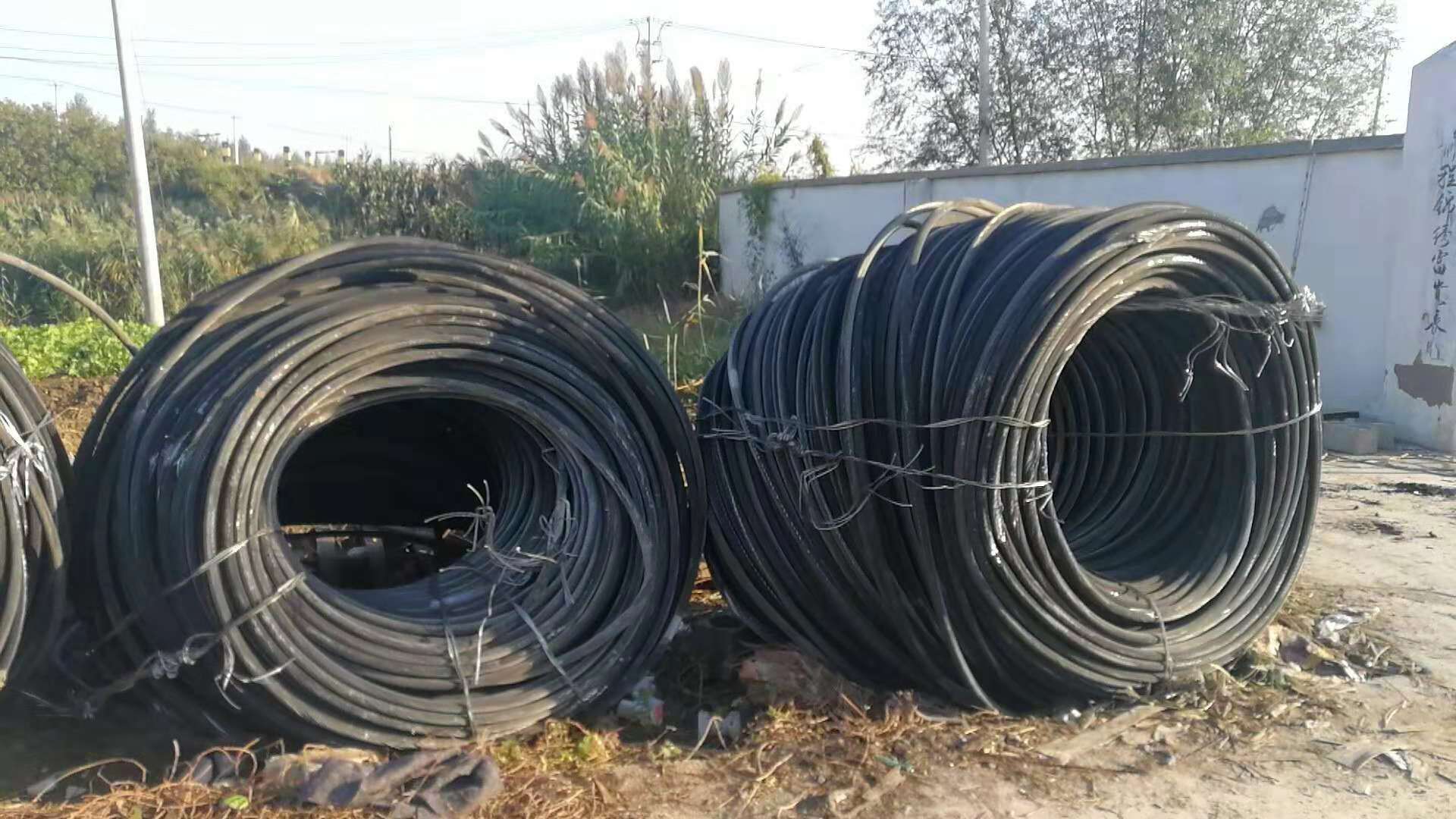 温州回收铝线每日报价 旧电缆回收