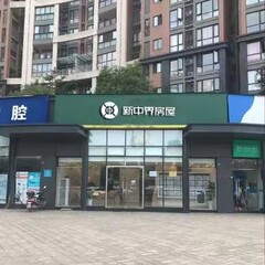 深圳新中界房屋连锁集团有限公司