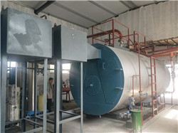 安徽蚌埠生物质蒸汽锅炉设计方案