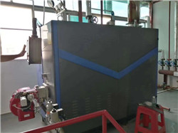 生物质蒸汽发生器厂家生产-上门安装张掖