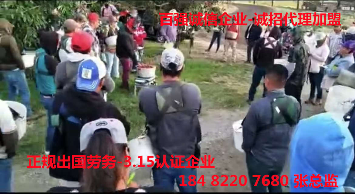 上海嘉定出國勞務正規內招急招招種植工飼養員/月薪35000