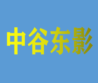 武汉中谷东影科技有限公司