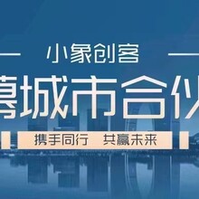 2023年新兴蓝海项目规划分享线上招募项目合伙人图片