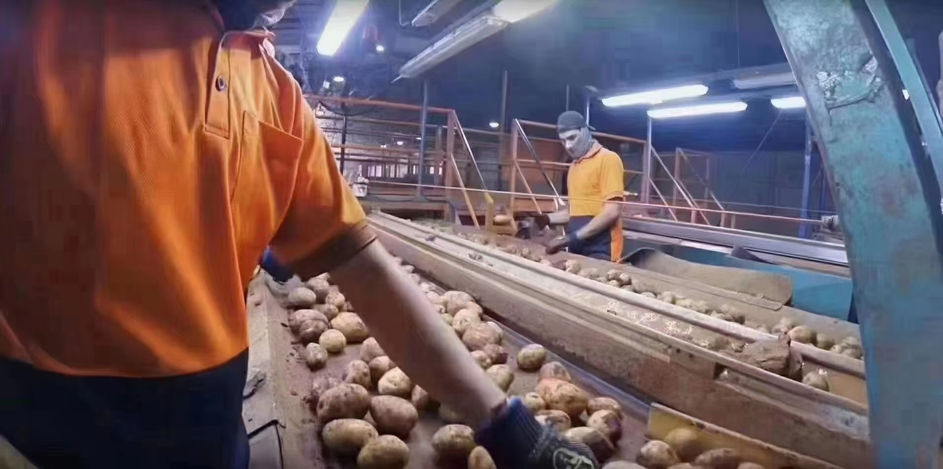 鸡西出国劳务新西兰木工钢筋工正规公司