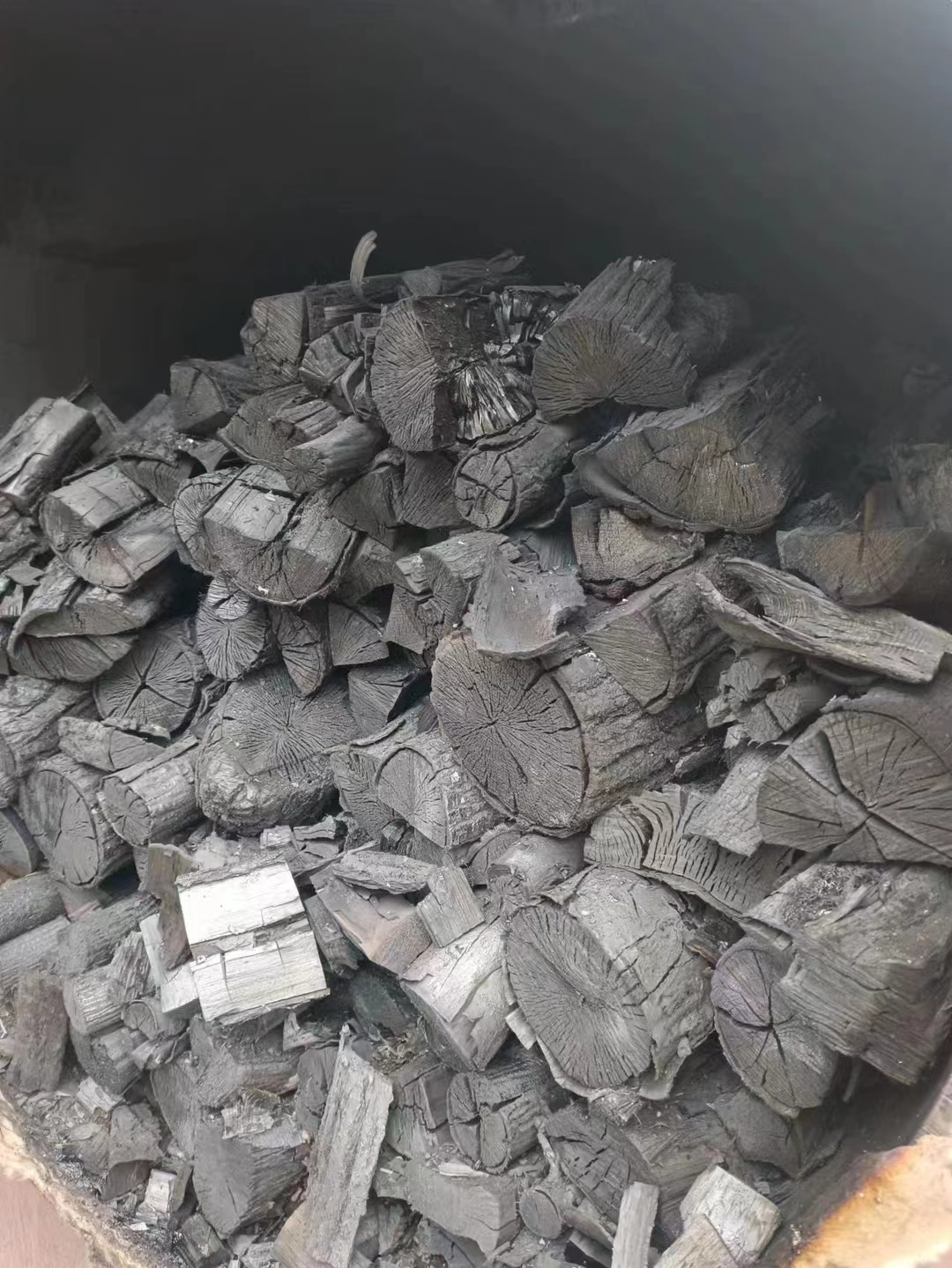 广东茂名家用小型卧式炭化炉