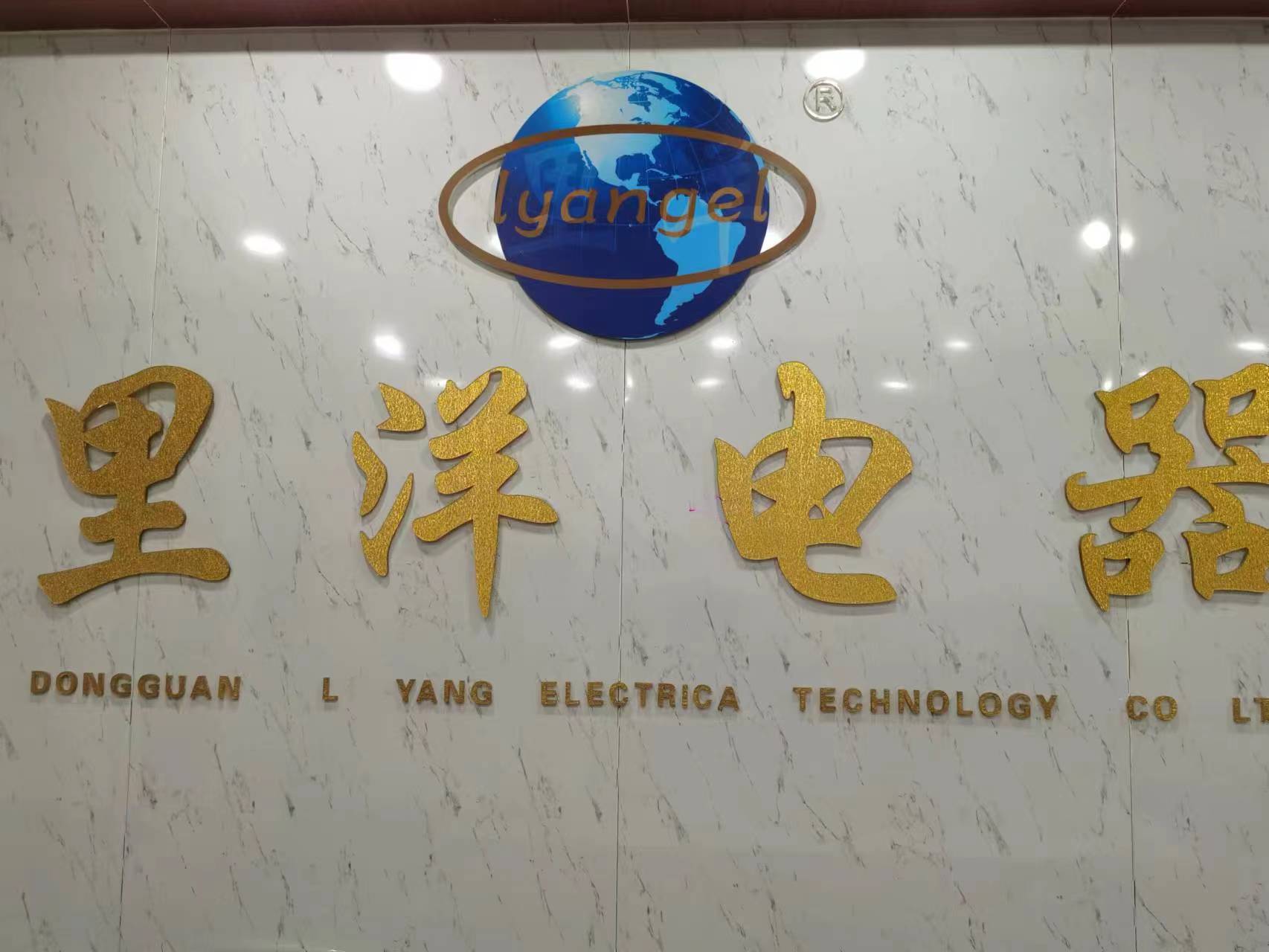 东莞市里洋电器科技有限公司