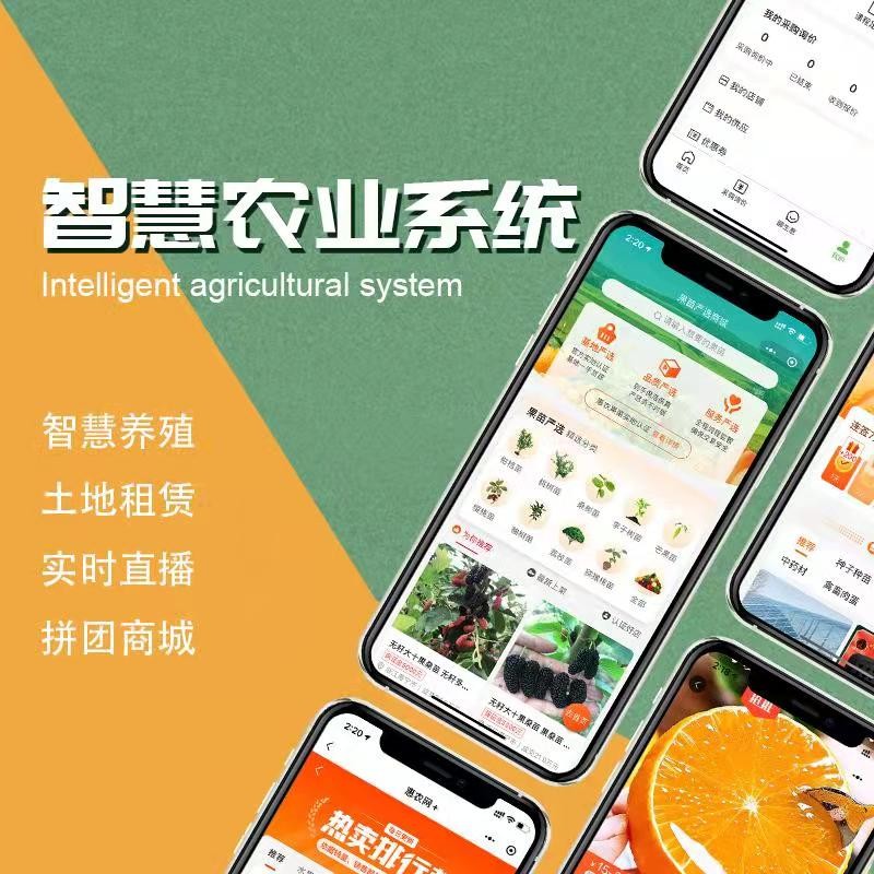 西城智慧农村app制作源码快速上线