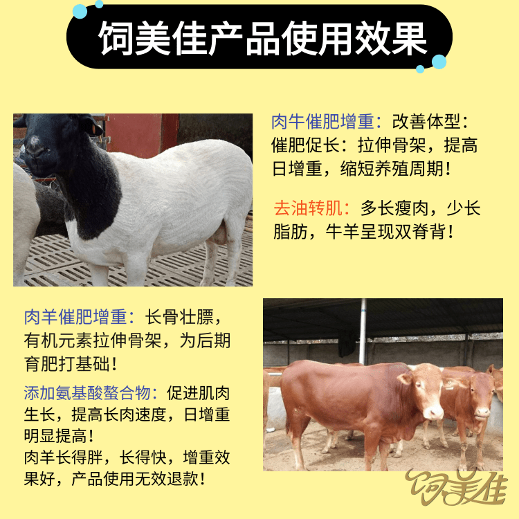 羊用催肥剂饲料开胃补充益生菌牛羊长骨增肥